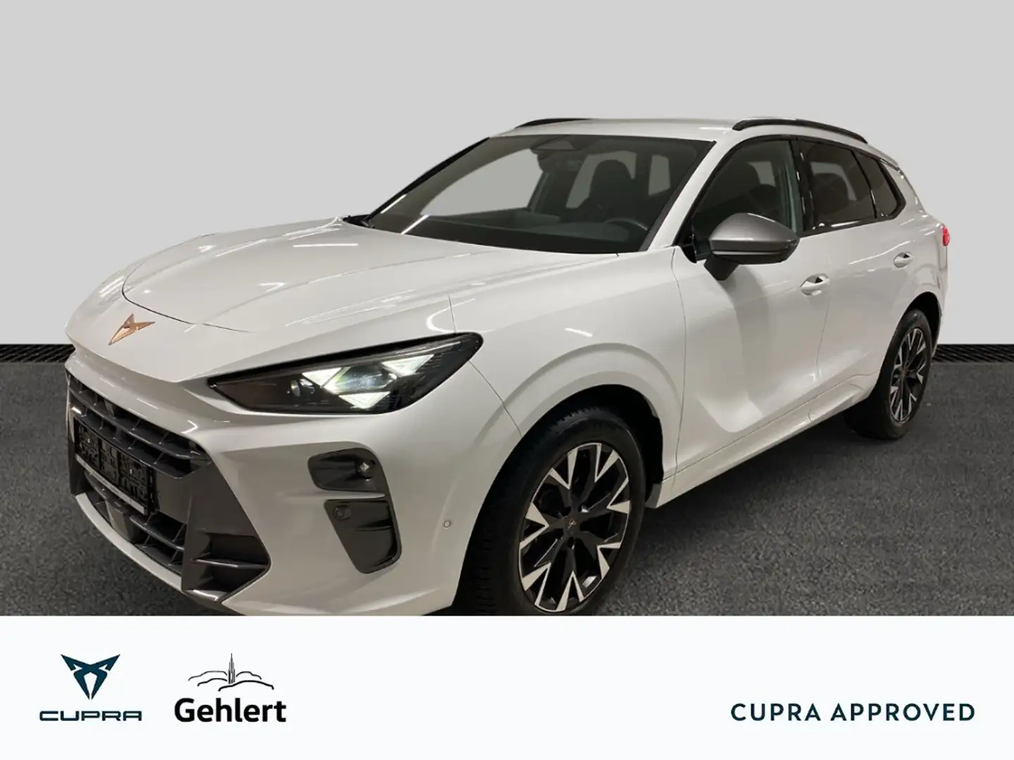 CUPRA Terramar 1.5 eTSI DSG HUD Navi Digitales Cockpit Memory Sit Weiß - 1