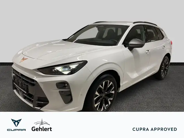 CUPRA Terramar 1.5 eTSI DSG HUD Navi Digitales Cockpit Memory Sit