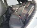 Ford Puma ST Automatik Weiß - thumbnail 11