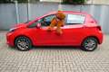 Toyota Yaris Comfort 1.Hand original 11.900 km! Rot - thumbnail 7