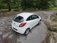 Ford Ka/Ka+ Ka 1.2 Gr. Service • Klima • scheckh. gepfl. Білий - thumbnail 4