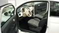 Fiat 500C Lounge CABRIO Klima, ZV, eFH, ALU Blanc - thumbnail 9