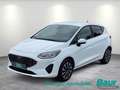 Ford Fiesta 1.0 EcoBoost S&S TITANIUM Winter-Paket Easy-Park Weiß - thumbnail 1