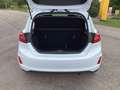 Ford Fiesta 1.0 EcoBoost S&S TITANIUM Winter-Paket Easy-Park Weiß - thumbnail 18