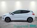 Ford Fiesta 1.0 EcoBoost S&S TITANIUM Winter-Paket Easy-Park Weiß - thumbnail 3
