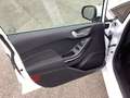 Ford Fiesta 1.0 EcoBoost S&S TITANIUM Winter-Paket Easy-Park Weiß - thumbnail 17