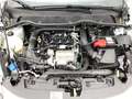 Ford Fiesta 1.0 EcoBoost S&S TITANIUM Winter-Paket Easy-Park Weiß - thumbnail 15