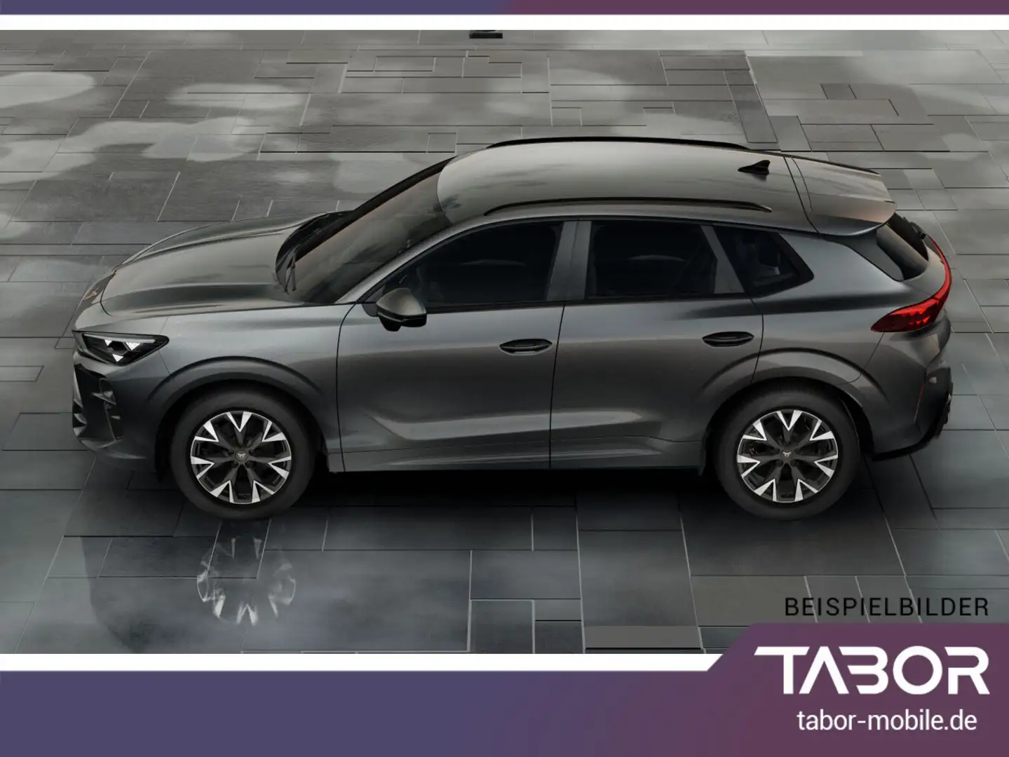 CUPRA Terramar 1.5 eTSI 150 DCT LED VirCo SHZ Kam PDC Grau - 2
