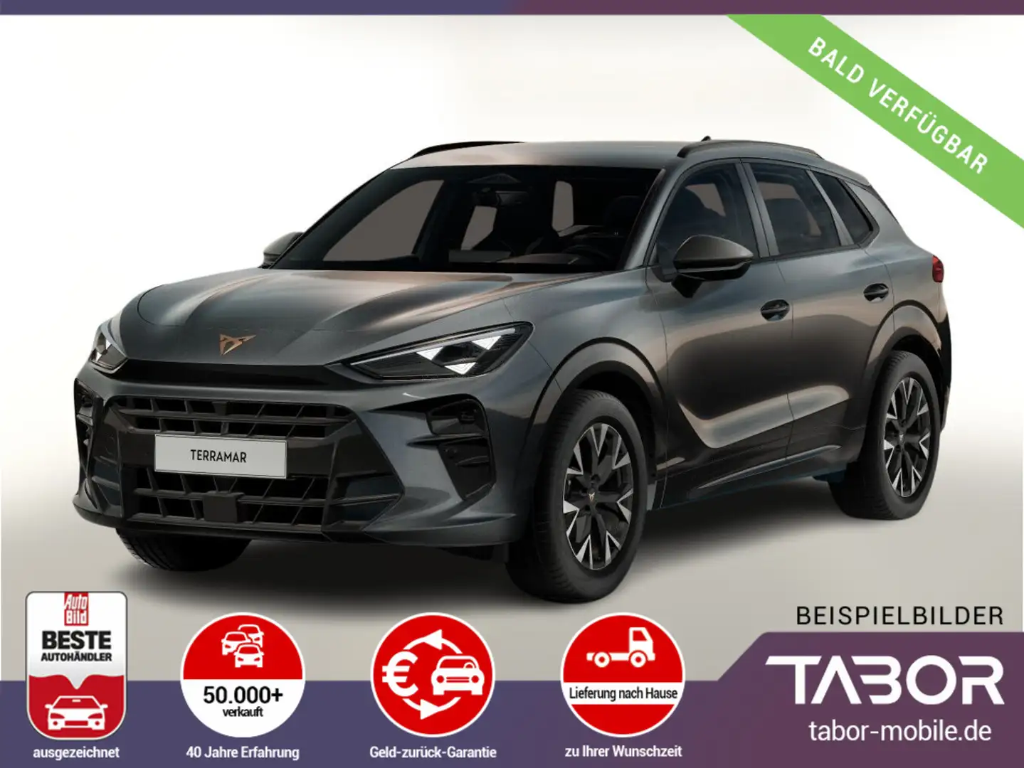 CUPRA Terramar 1.5 eTSI 150 DCT LED VirCo SHZ Kam PDC Grau - 1