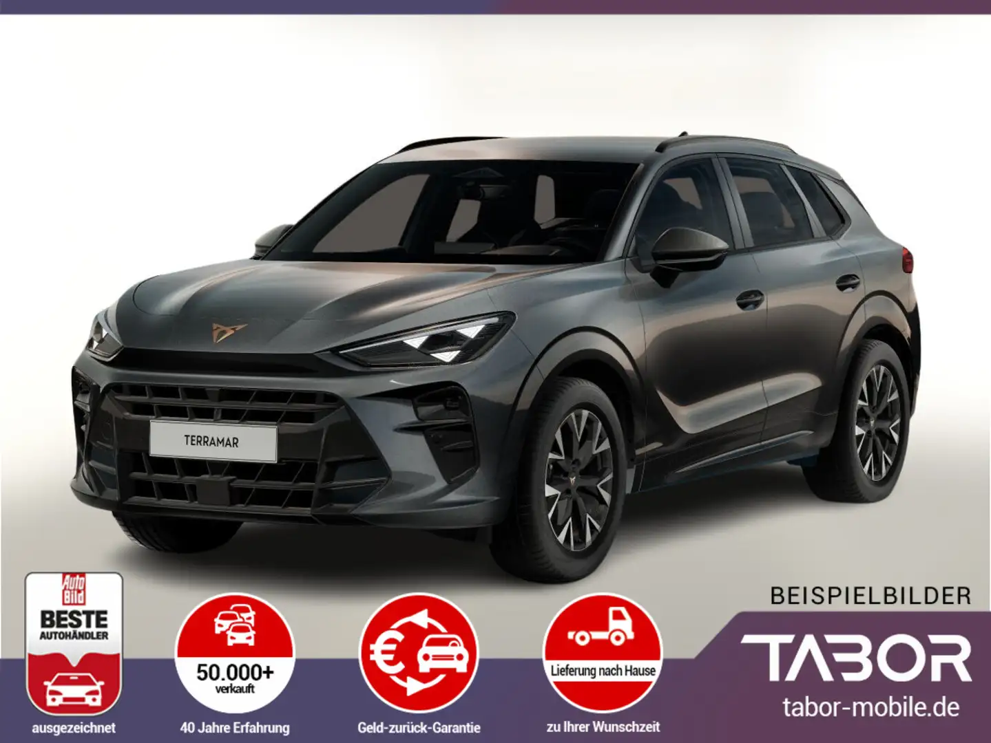 CUPRA Terramar 1.5 eTSI 150 DCT LED VirCo SHZ Kam PDC Gris - 1