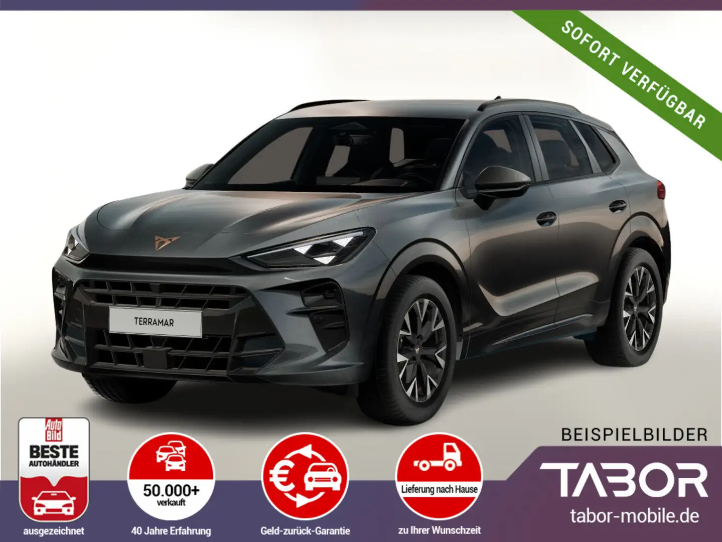 CUPRA Terramar 1.5 eTSI 150 DCT LED VirCo SHZ Kam PDC Gris - 2