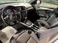 Audi A4 allroad Allroad 2.0 tdi Business Plus 177cv s-tronic Nero - thumbnail 9