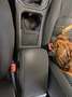 Volkswagen Golf Sportsvan Golf VII 1.2 TSI BlueMotion Technology Lounge Bronz - thumbnail 13