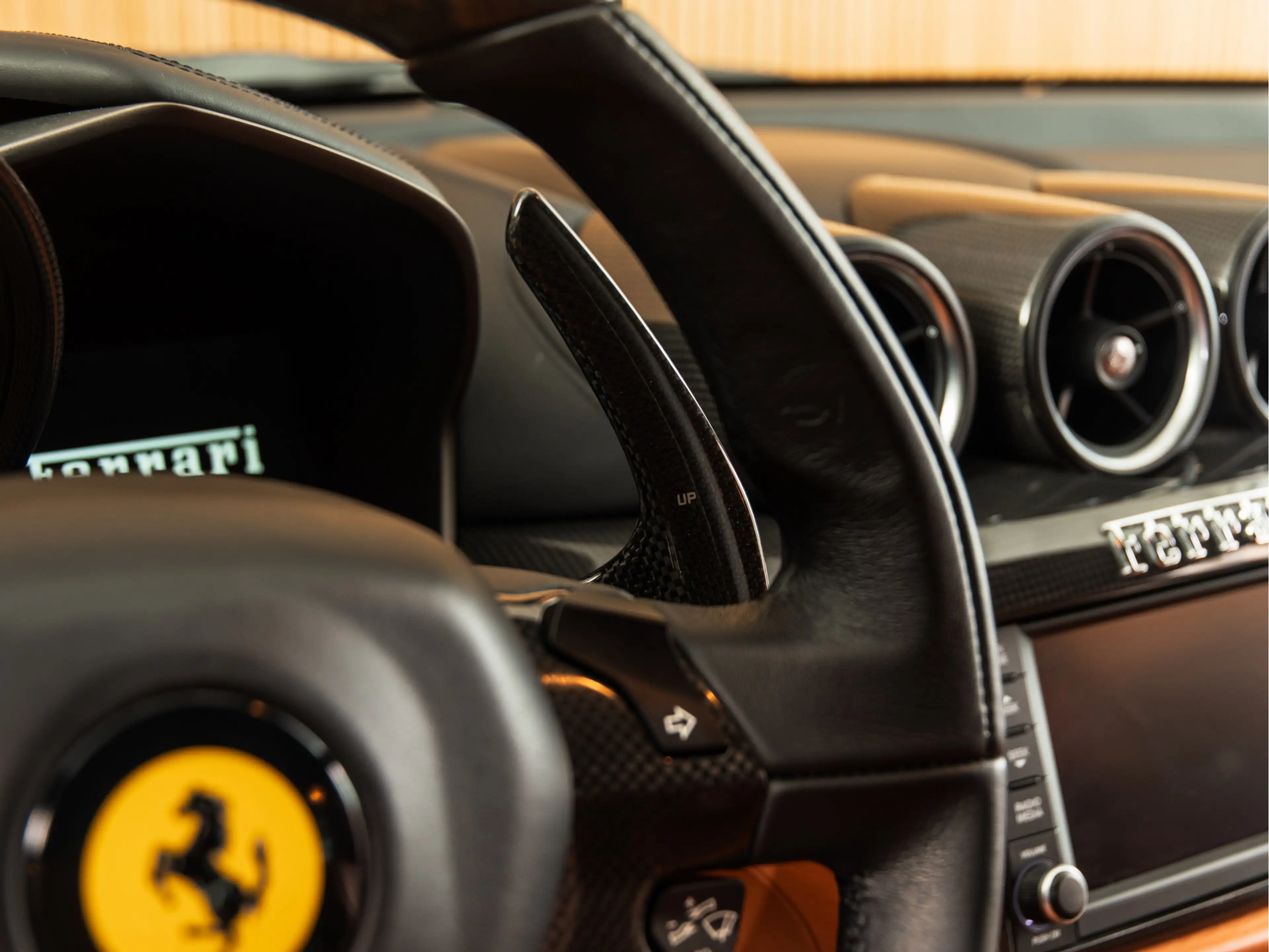 Ferrari FF 6.3 V12 CAPRISTO — photo 25