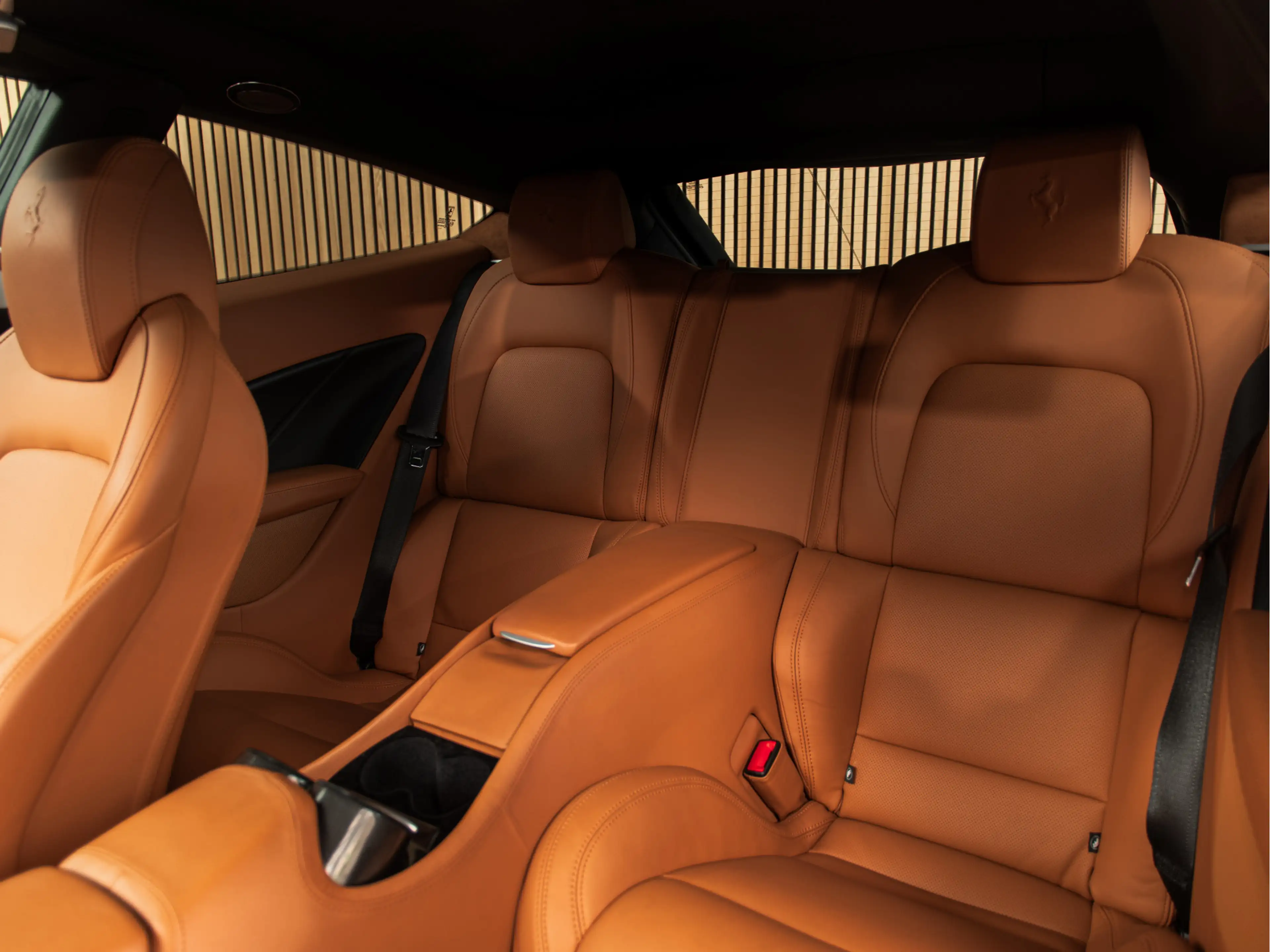 Ferrari FF 6.3 V12 CAPRISTO — photo 15