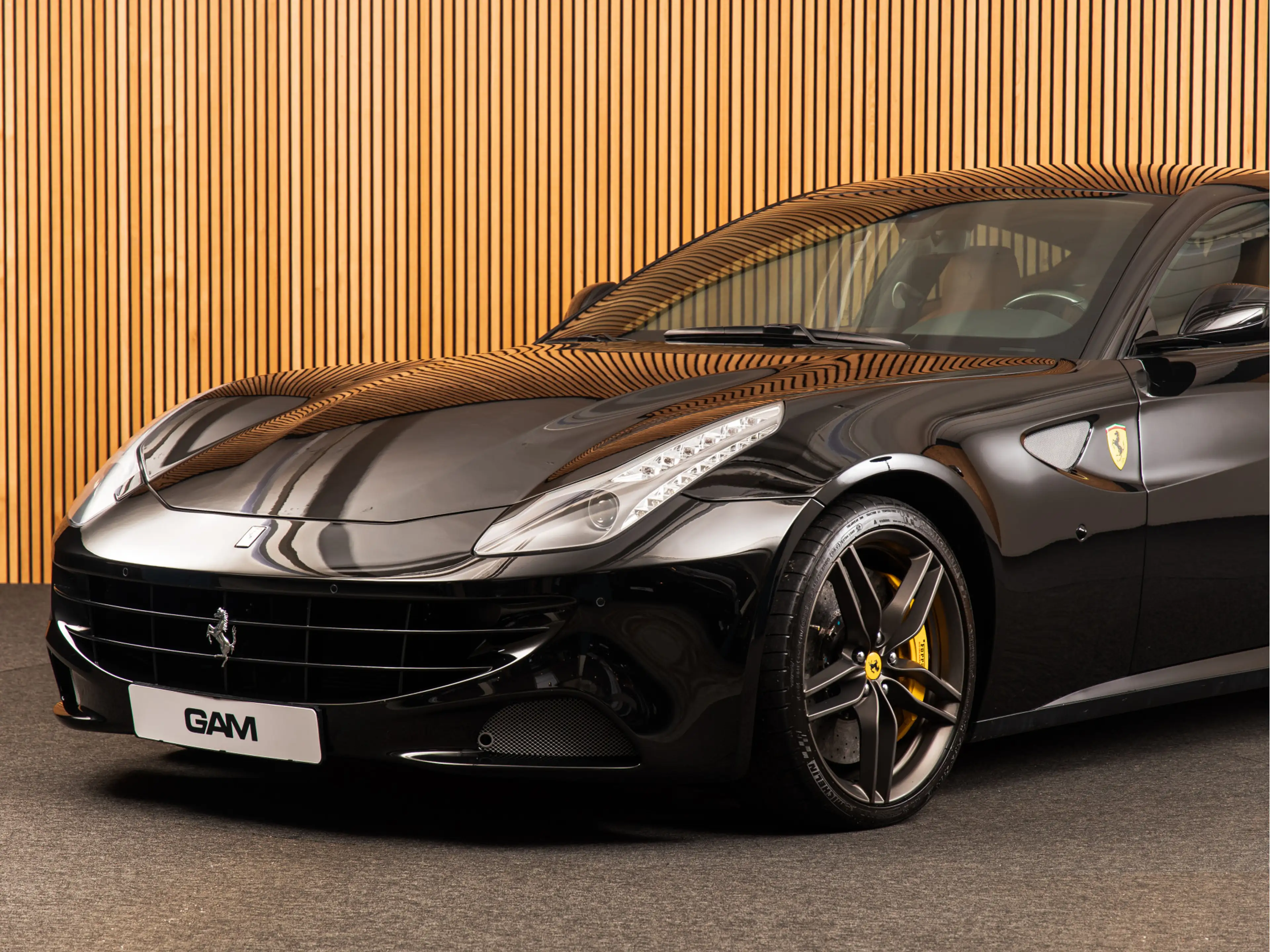 Ferrari FF 6.3 V12 CAPRISTO — photo 9