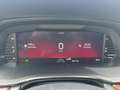 Skoda Octavia Scout 2,0 TDI 4x4 DSG Blau - thumbnail 12