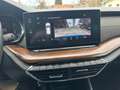 Skoda Octavia Scout 2,0 TDI 4x4 DSG Blau - thumbnail 14
