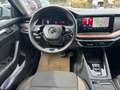Skoda Octavia Scout 2,0 TDI 4x4 DSG Blau - thumbnail 10