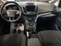 Ford C-Max 1.6 Titanium Gpl 120cv - TAGLIANDATA! Gris - thumbnail 12