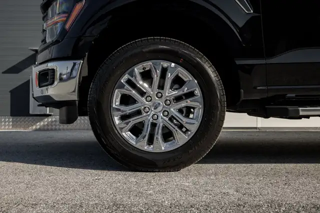 Ford F 150 view 15