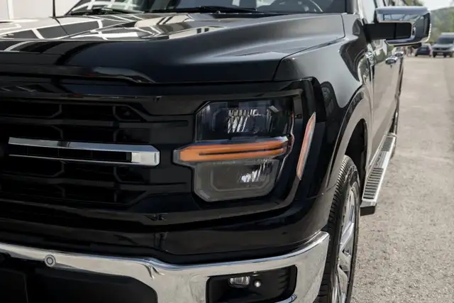 Ford F 150 view 11