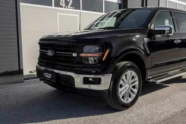 Ford F 150 view 8