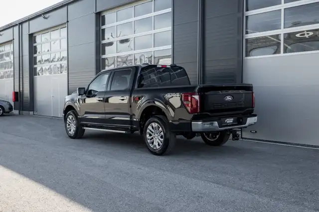 Ford F 150 view 5
