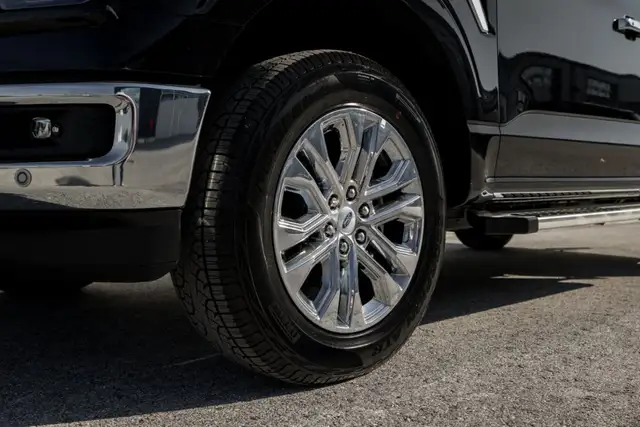 Ford F 150 view 14