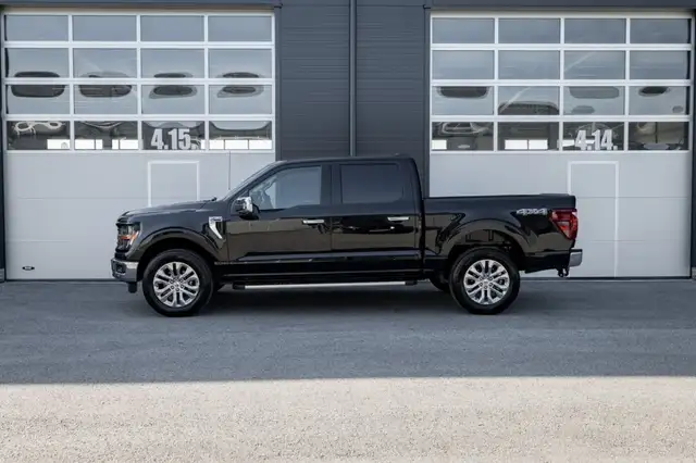 Ford F 150 view 4