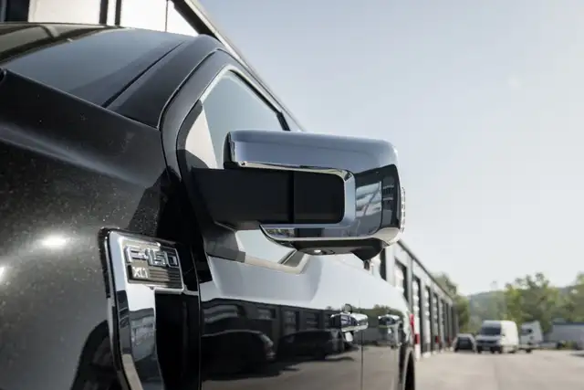 Ford F 150 view 12