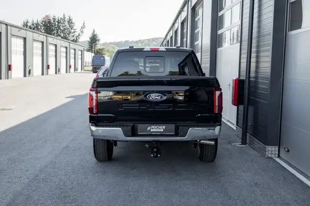 Ford F 150 view 6