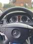 Mercedes-Benz B 170 B 170 Autotronic Silver - thumbnail 1