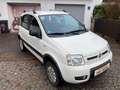 Fiat Panda 1.3 JTD Climbing 4X4 TÜV +AU NEU Blanco - thumbnail 8