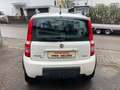 Fiat Panda 1.3 JTD Climbing 4X4 TÜV +AU NEU Blanco - thumbnail 6