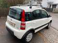 Fiat Panda 1.3 JTD Climbing 4X4 TÜV +AU NEU Blanco - thumbnail 7