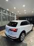Audi Q5 Q5 40 TDI 204 CV quattro S tronic Business Advance Weiß - thumbnail 4