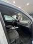 Audi Q5 Q5 40 TDI 204 CV quattro S tronic Business Advance Weiß - thumbnail 10