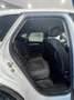 Audi Q5 Q5 40 TDI 204 CV quattro S tronic Business Advance Weiß - thumbnail 13