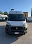 Fiat Ducato 2.3mjt 120cv L1H2 FURGONE ANNO 2021 Blanco - thumbnail 6