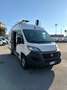 Fiat Ducato 2.3mjt 120cv L1H2 FURGONE ANNO 2021 Blanco - thumbnail 1