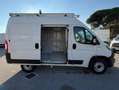 Fiat Ducato 2.3mjt 120cv L1H2 FURGONE ANNO 2021 Blanco - thumbnail 2