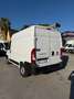 Fiat Ducato 2.3mjt 120cv L1H2 FURGONE ANNO 2021 Bianco - thumbnail 4
