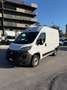 Fiat Ducato 2.3mjt 120cv L1H2 FURGONE ANNO 2021 Bianco - thumbnail 5