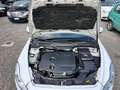 Volvo C30 C30 1.6 d2 Black design Bianco - thumbnail 15