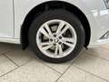 Skoda Fabia Combi 1.0 TSI Style Freisprech SHZ PDC Klima Weiß - thumbnail 19