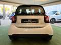 smart forTwo Fortwo 1.0 Passion 71cv twinamic Bianco - thumbnail 4