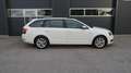 Skoda Octavia Kombi 1,6 TDI Limited / 1.Besitz / Weiß - thumbnail 1
