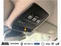 Renault Trafic Blue dCi 150 Evolution 8-SITZER PDC R-KAMERA NAVI. Grau - thumbnail 24