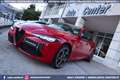 Alfa Romeo Giulia 2.0 Turbo 280CV AT8 AWD Q4 Veloce Rosso - thumbnail 8